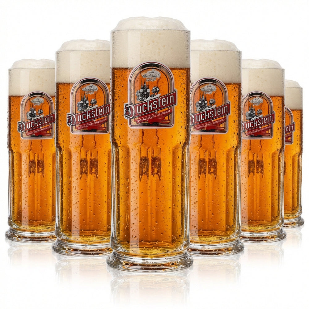 6 verres à bière Duckstein 0,3 l « Rotblondes Oberbräu » Sahm Maximilian Seidel