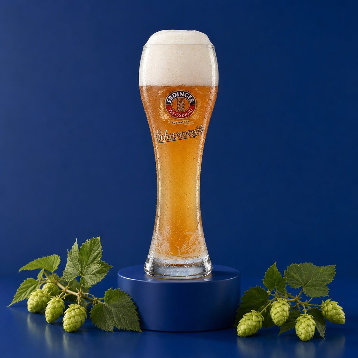6 verres à bière Erdinger Weissbräu 0,5 l Verres à bière Verre à bière blanche « Schneeweiße »