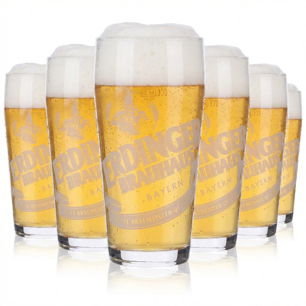 6 verres à bière Erdinger Weissbräu Verres à bière Willibecher 0,25 l Verres « Tradition »