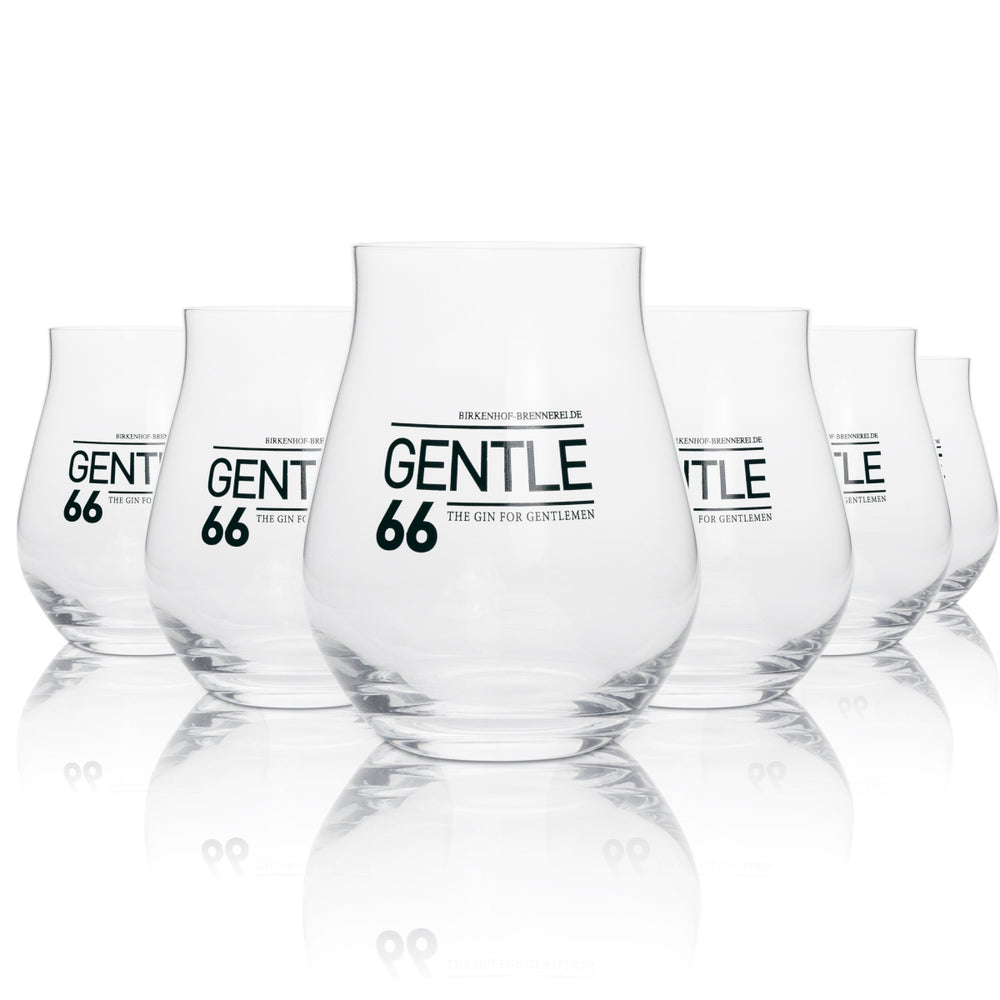 6x Gentle66 Verre 0,42 l Gin Tonic Fizz Tumbler Verres à cocktail long drink