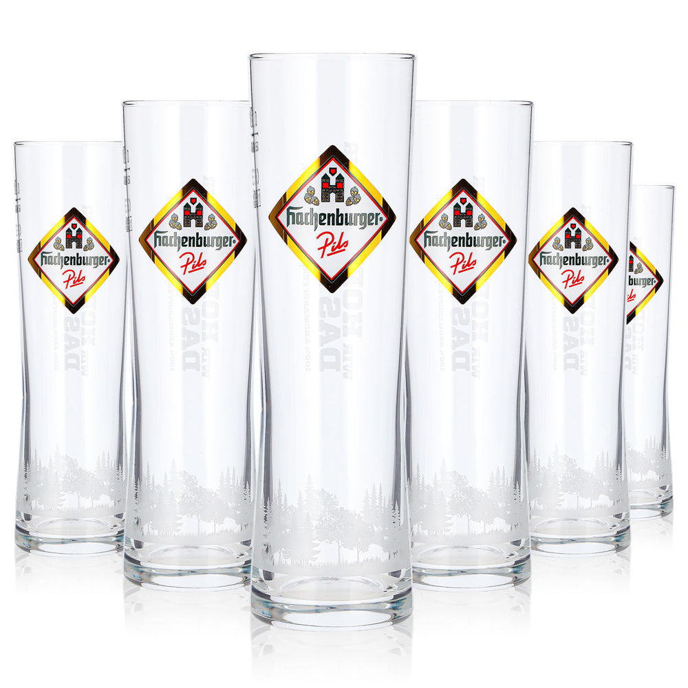 6 verres à bière Hachenburger 0,2 l, type longdrink, Pils Rastal, logo doré (lot de 6)