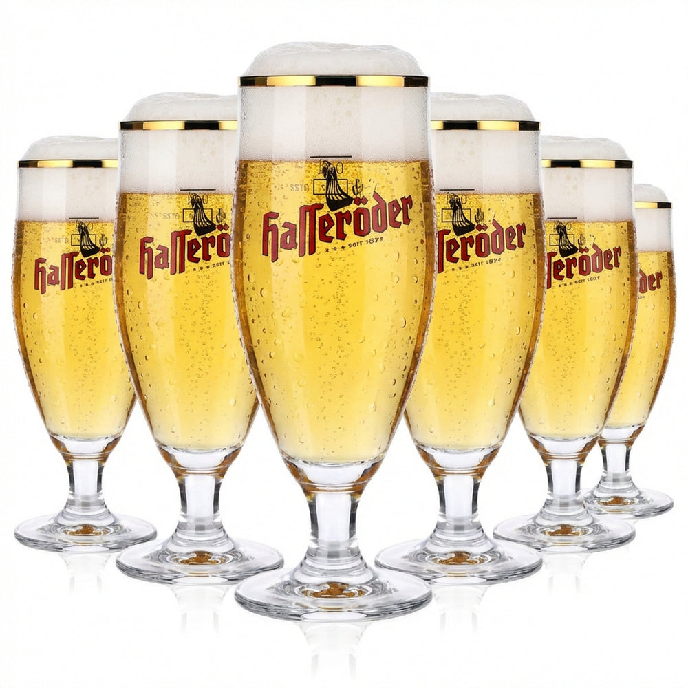 6 verres à bière Hasseröder Verres à bière 0,2 l Verres à pied bombés Bord doré