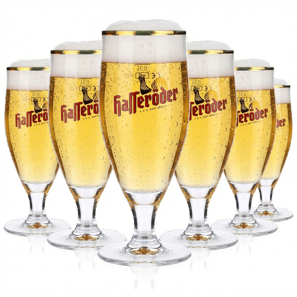 6 verres à bière Hasseröder Verres Verres à bière 0,3 l Coupe Bord doré Ritzenhoff