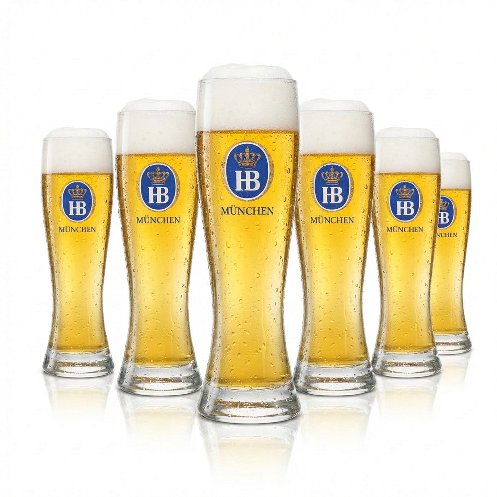 6 verres à bière Hofbräu München 0,3 l, bière blanche Sahm HB, verres à bière Hefe