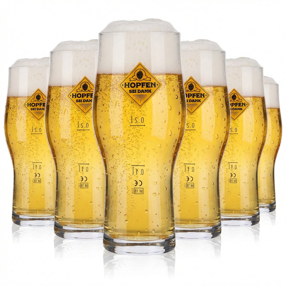 6x Verre à bière « Hopfen sei Dank » 0,3 l Verres à bière Craft Master Two