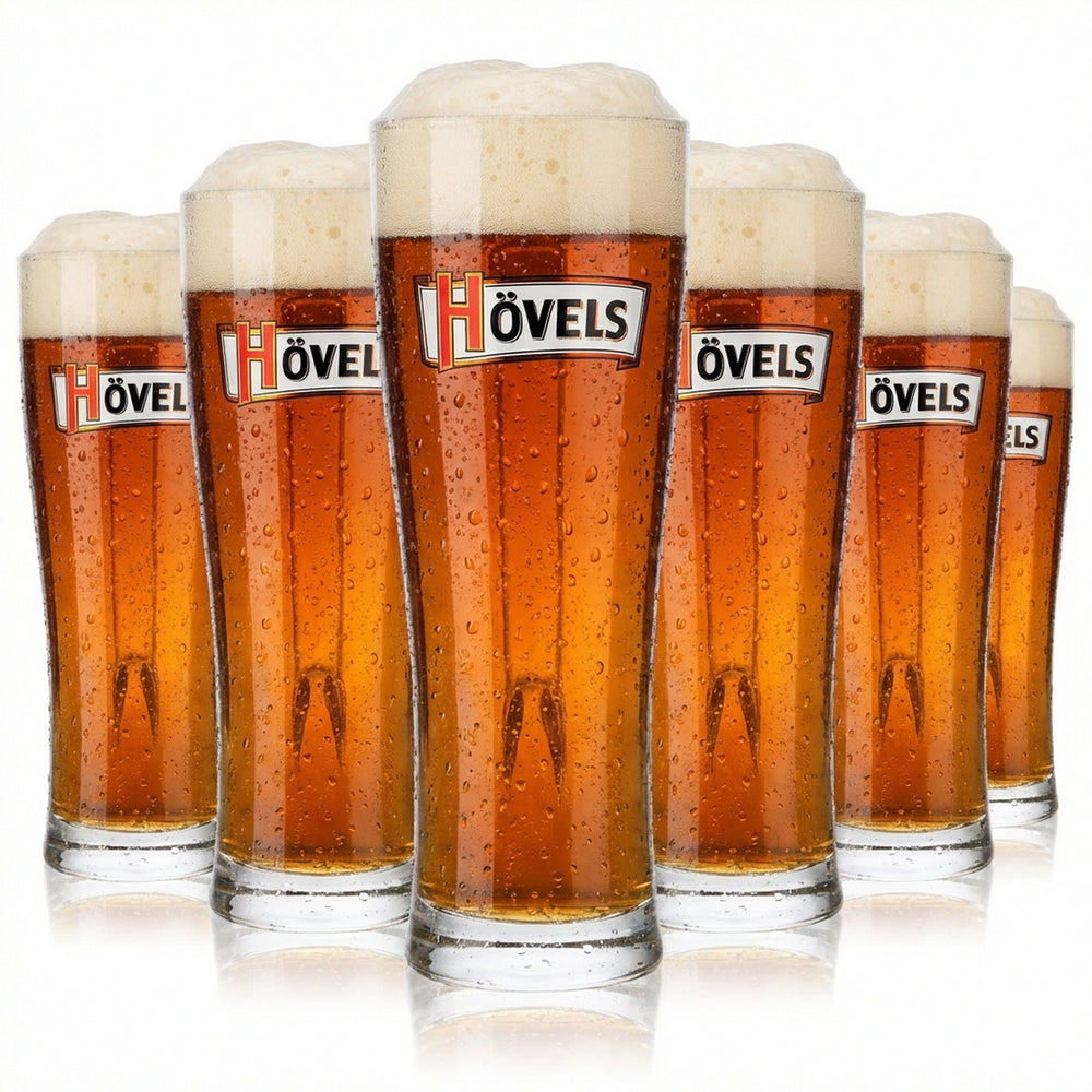 6 verres à bière Hövels 0,3 l Verres à bière Chopes à bière Chopes à bière coniques Aspen
