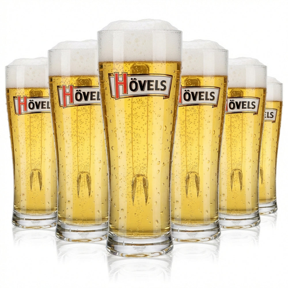 6x verre à bière Hövels 0,5 l chope à bière verre à bière Aspen