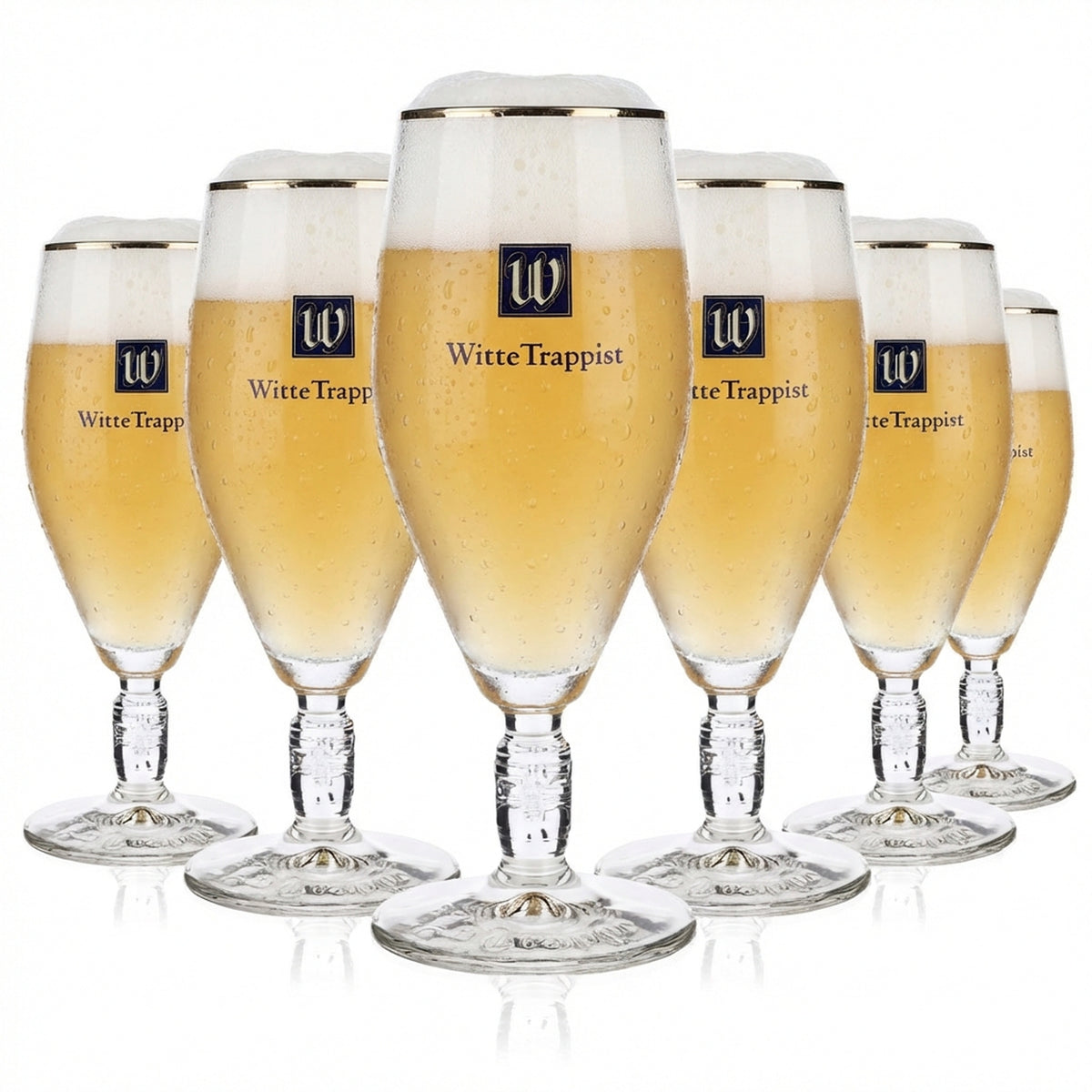 6 verres à bière La Trappe 0,3 l Verres à bière Relief dans le pied Coupe Bord doré