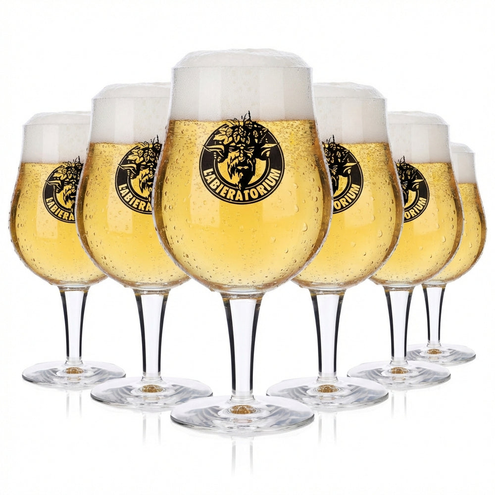 6 verres à bière Labieratorium 0,4 l Verres à bière Verres à pied Verres à pied Verres à bière artisanale