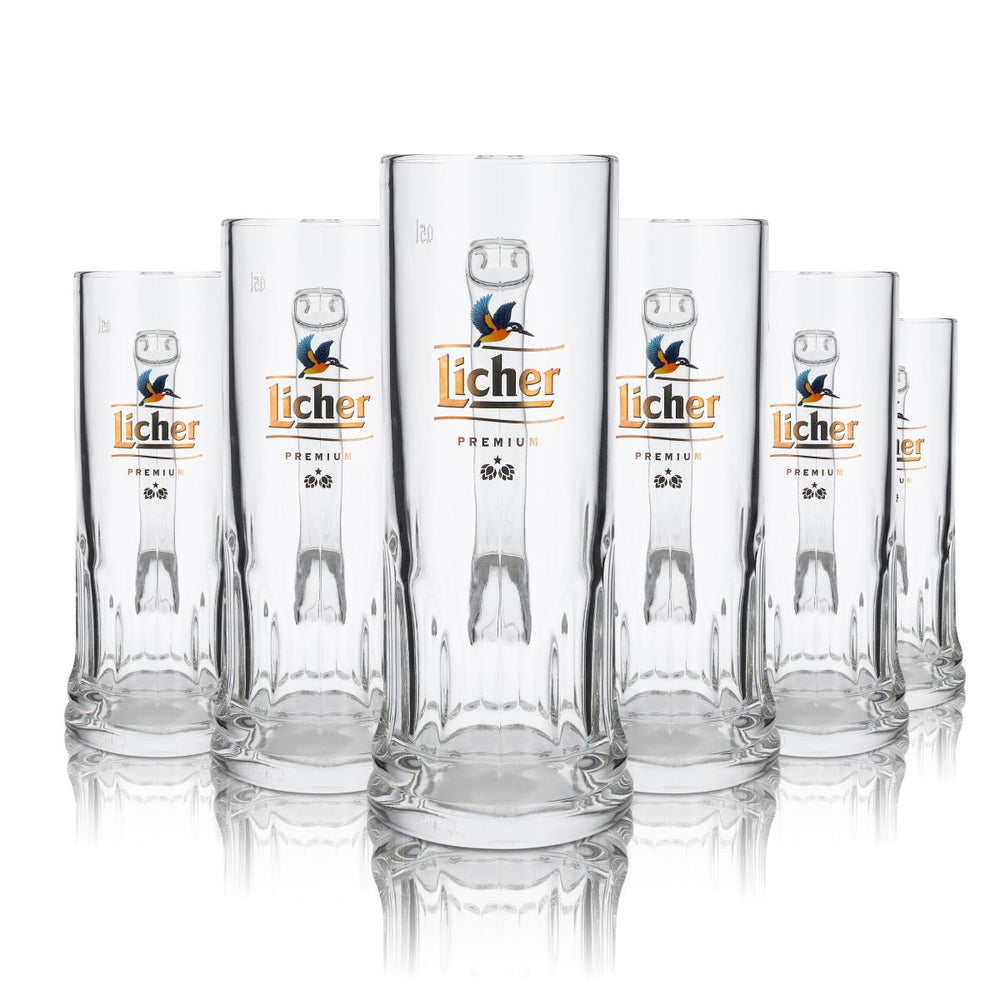 6 verres à bière Licher 0,5 l Verres à bière Chopes Verres à bière exclusifs Seidel Vogel