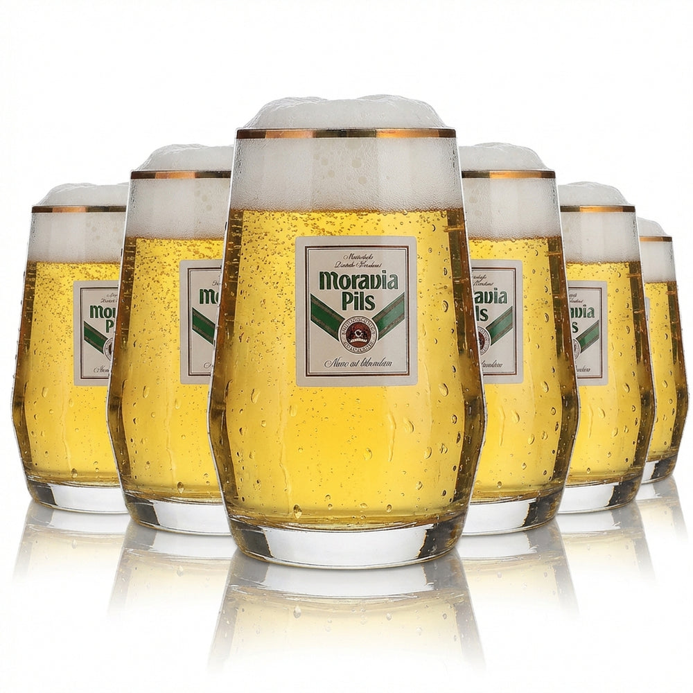 6x Moravia verre 0,3 l chope à bière bord doré Höhr Grenzhausen verres ensemble brasserie