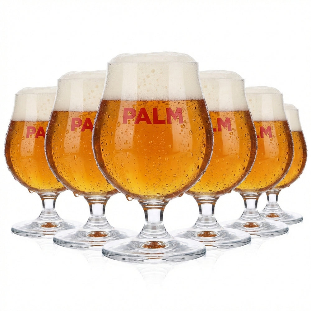 6 verres à bière Palm Verres à bière Verres à bière 0,25 l Coupe Logo rouge