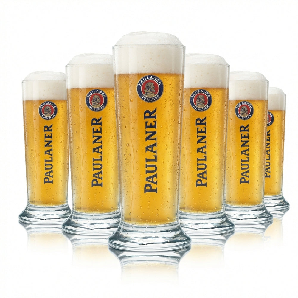 6 verres à bière Paulaner 0,1 l mini coupe verre à bière blanche verre à bière blonde verre à bière brune verre à bière rousse verre à bière blonde verres à bière verres à bière verres à bière verres à