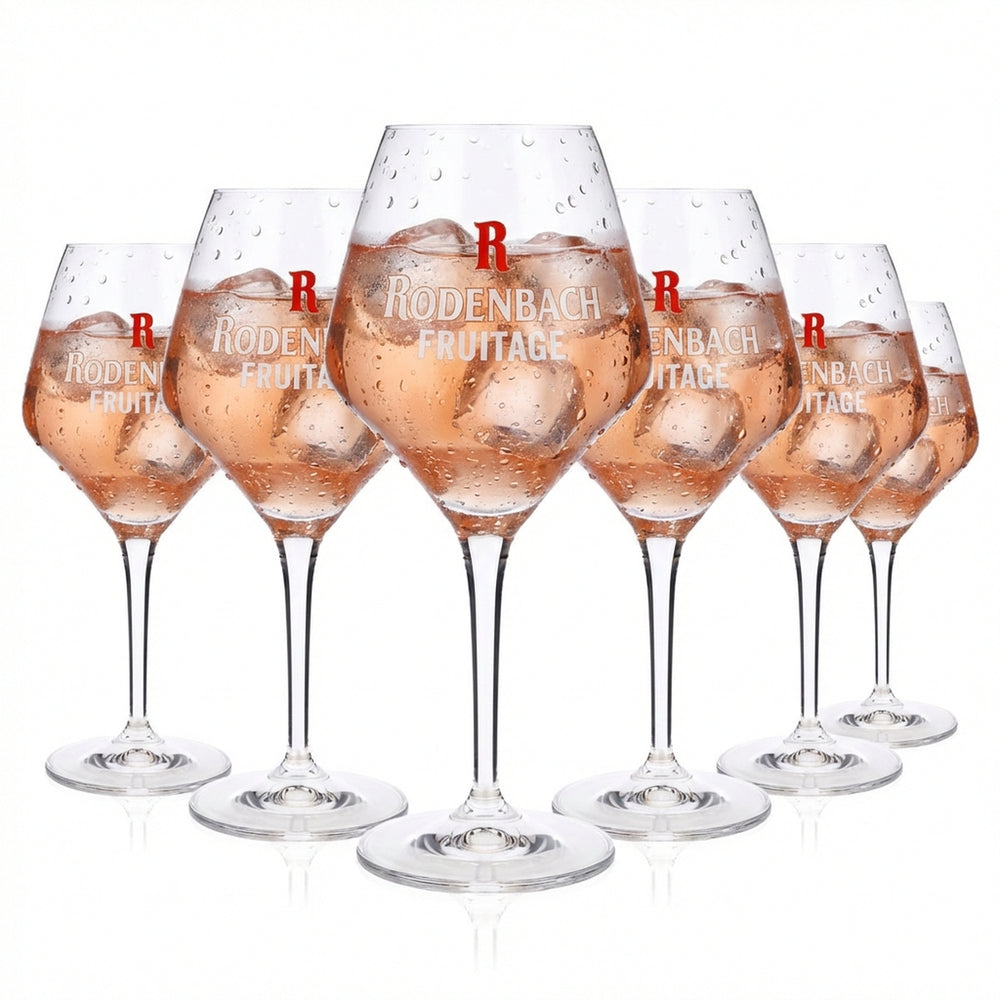 6 verres à bière Rodenbach 0,25 l Verres à bière ballon Verres à vin Sommelier « Fruitage »