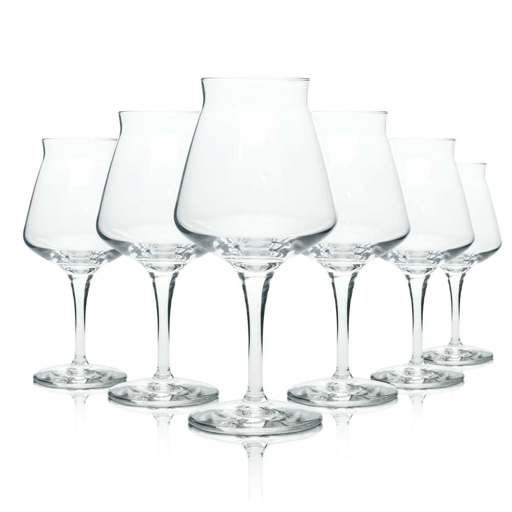 6 verres à bière Teku 0,4 l, coupe 3.0, verres à dégustation de bière artisanale Rastal, verres de sommelier