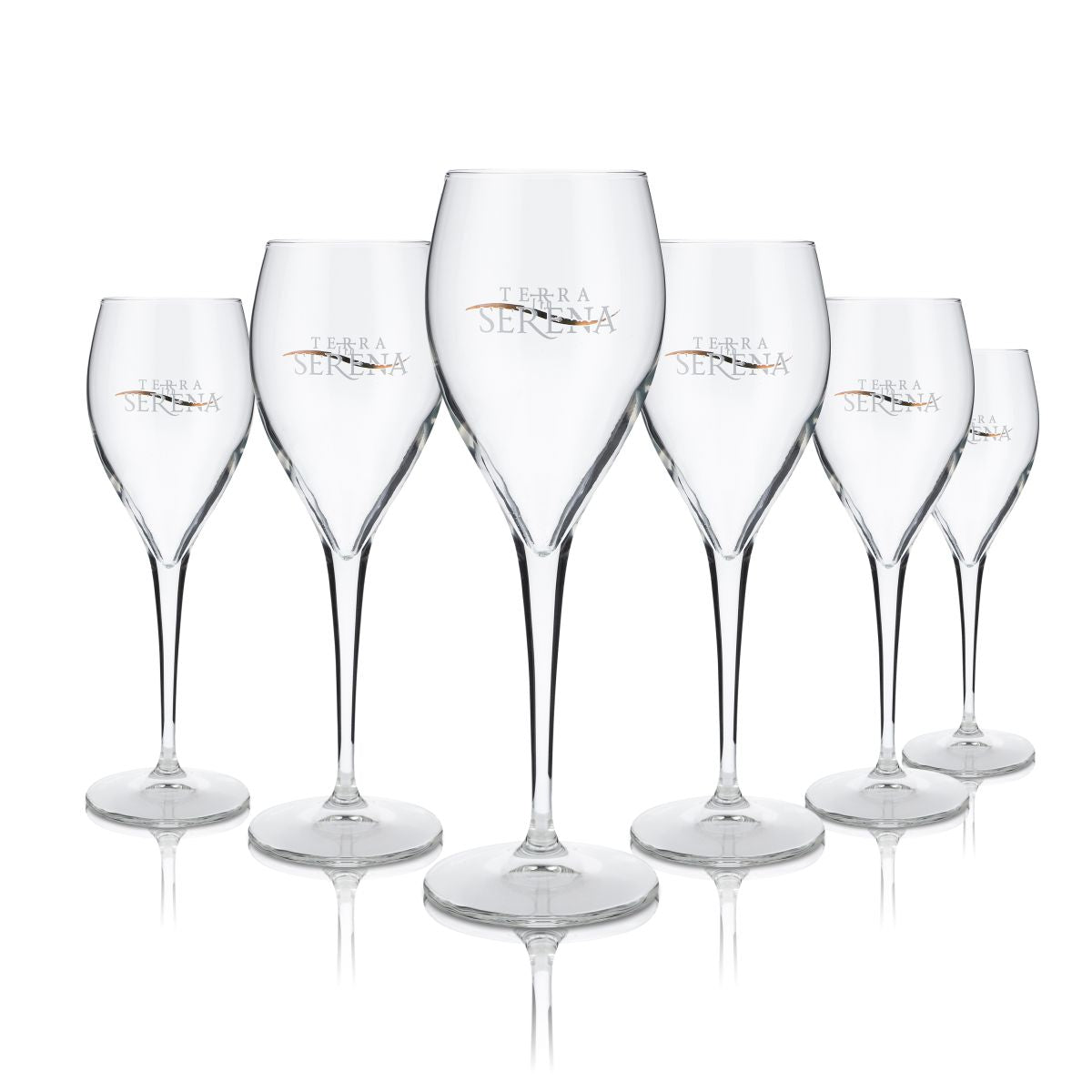 6x Terra Serena verre 0,1l Champagne flûte Luce 22 verres Set Secco Gastro