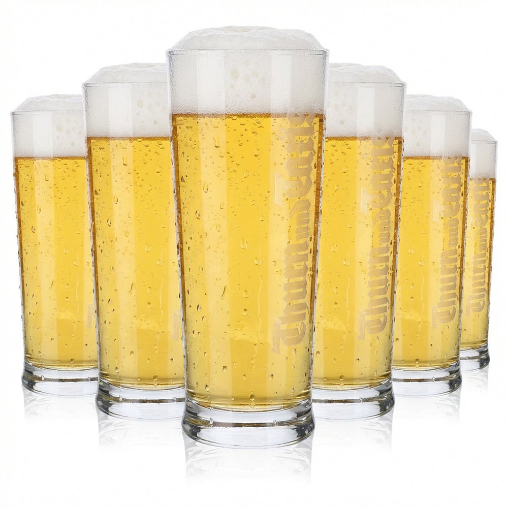 6x verres à bière Thurn & Taxis 0,5 l Verres à bière Logo vertical