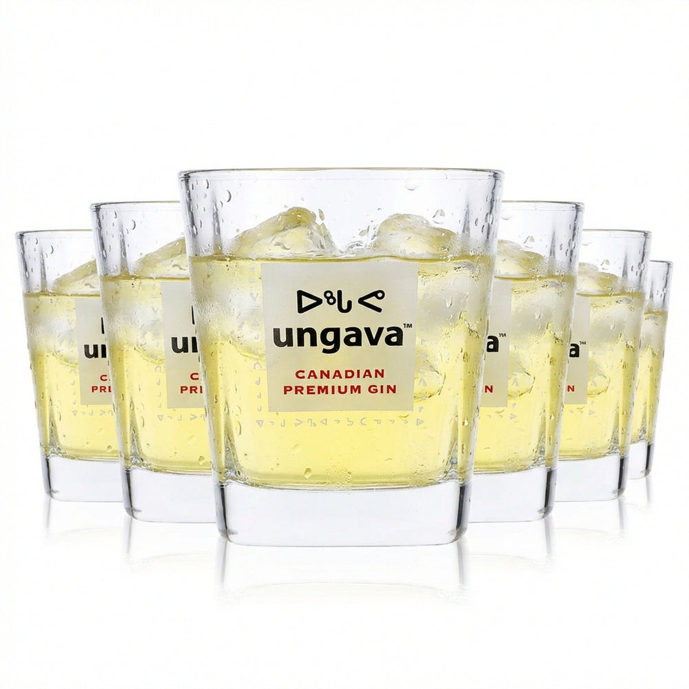 6 verres à gin Ungava Verres à gin Verres à gin tonic 0,3 l Verres à whisky
