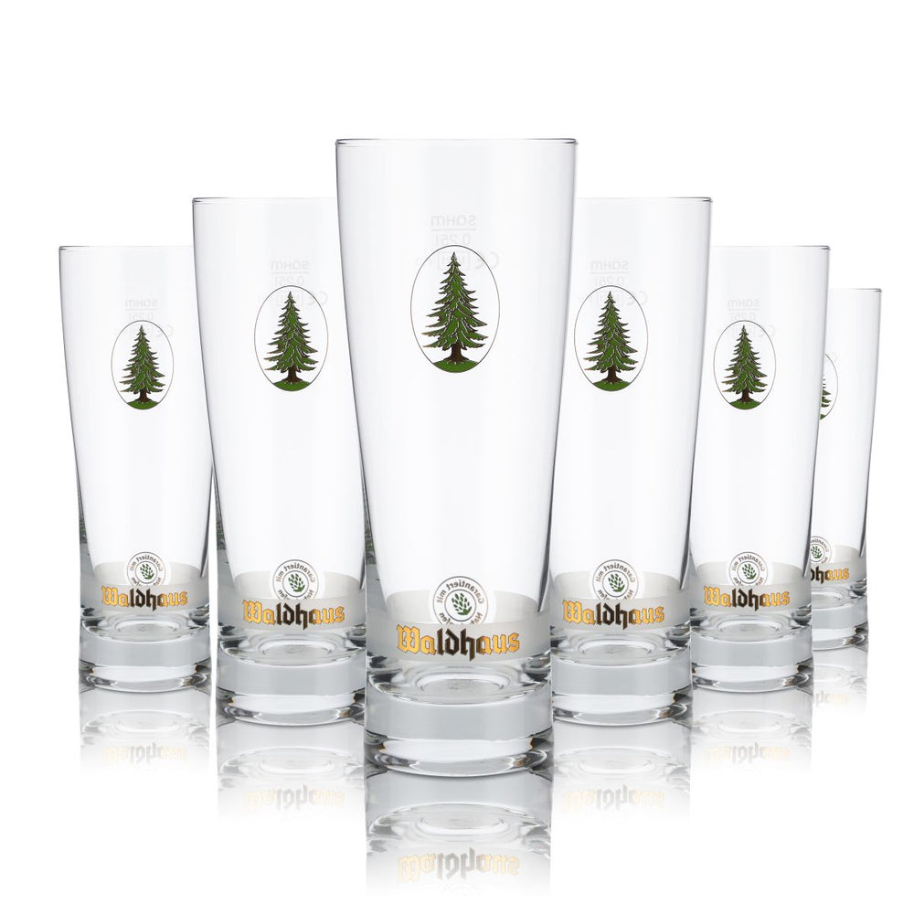 6x Waldhaus verre 0,25l verre à bière verre à coupe verre à pied set de verres de brasserie Gastro
