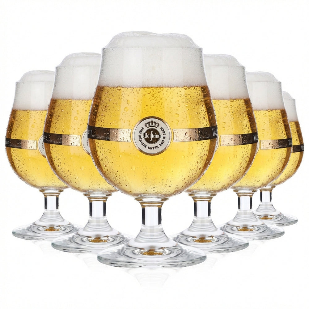 6 verres à bière Warsteiner 0,25 l Verres à bière Pokal Ritzenhof Bistrol Schwenker geb.