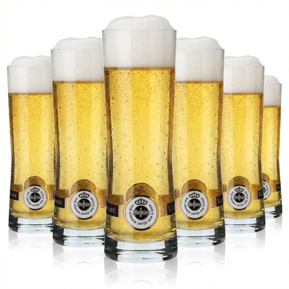 6 verres à bière Warsteiner 0,25 l avec logo Rastal Fresh au fond