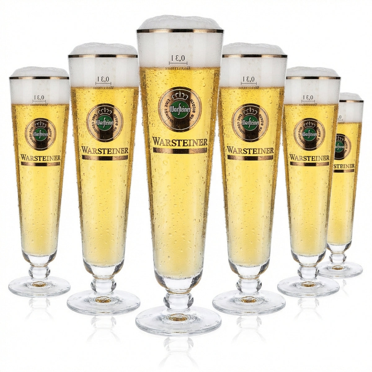 6 verres à bière Warsteiner 0,3 l Verres à bière Coupe « Herb » Bord argenté