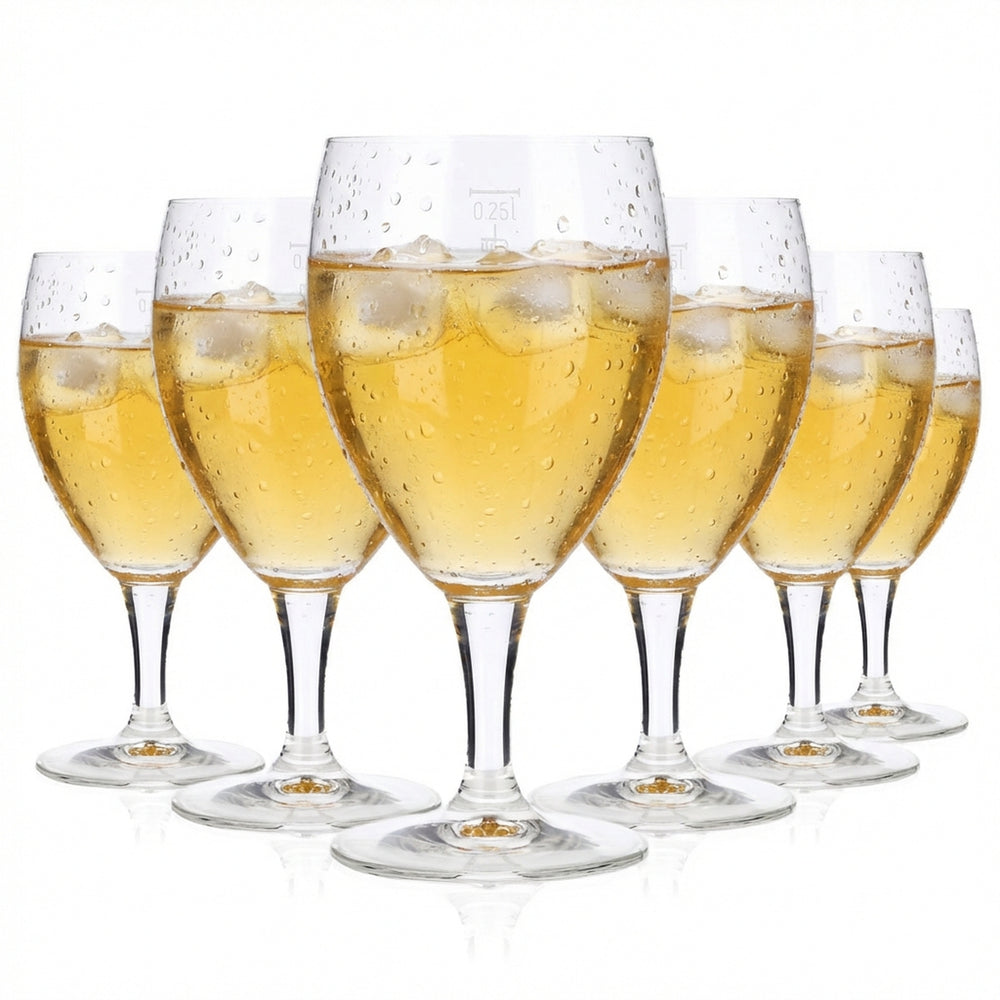 6x Verres à eau Verres à eau Verres à boissons non alcoolisées 0,25 l Calice  Castel