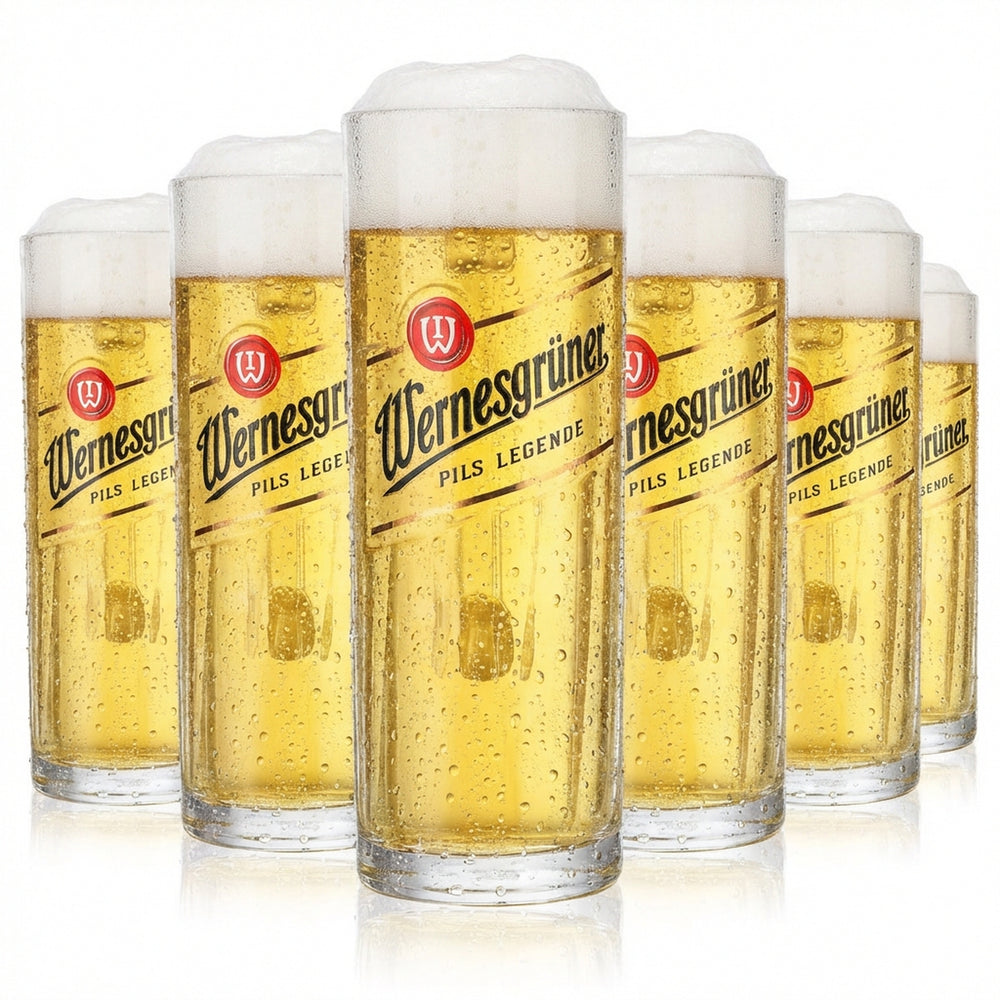 6 verres à bière Wernesgrüner 0,3 l, chope à relief rayé, nouveau logo Rastal