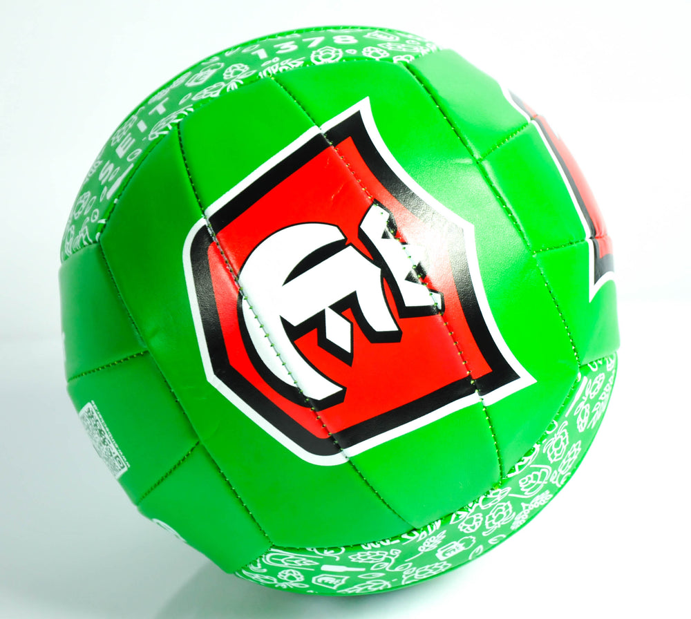 Balle de plage Einbecker Bier Ball Beach-volley Football vert Taille 5