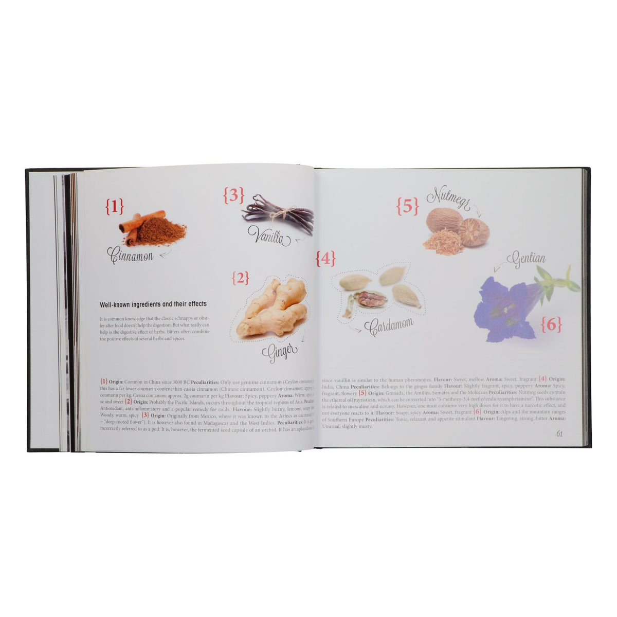 École de barman Goldberg Tonic à Munich, recettes de cocktails, recettes de bar, 312 pages – Vue 4