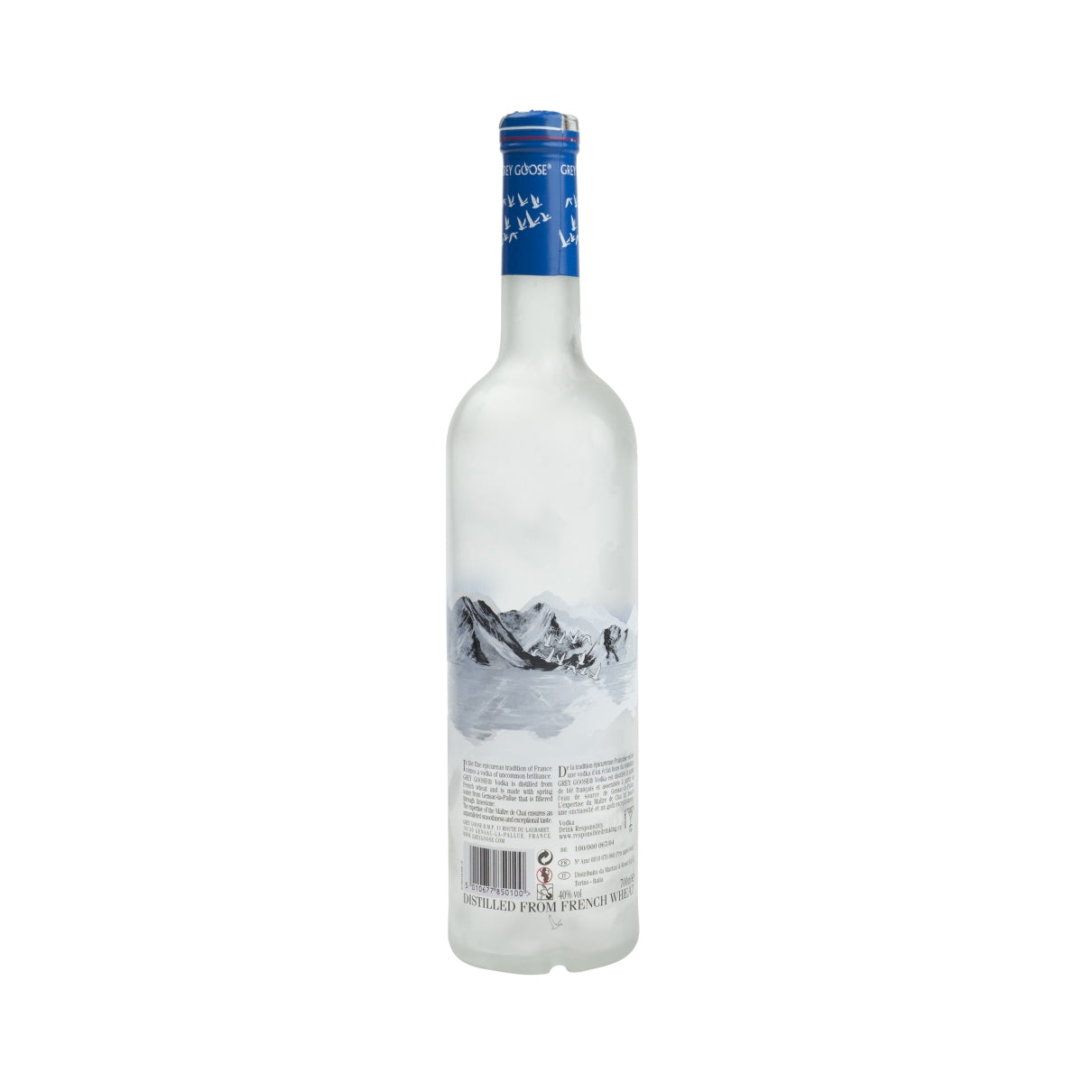 Grey Goose Vodka 0,7 l bouteille vide lampe décorative tirelire Empty Bottle Bar Dummy – Vue 2