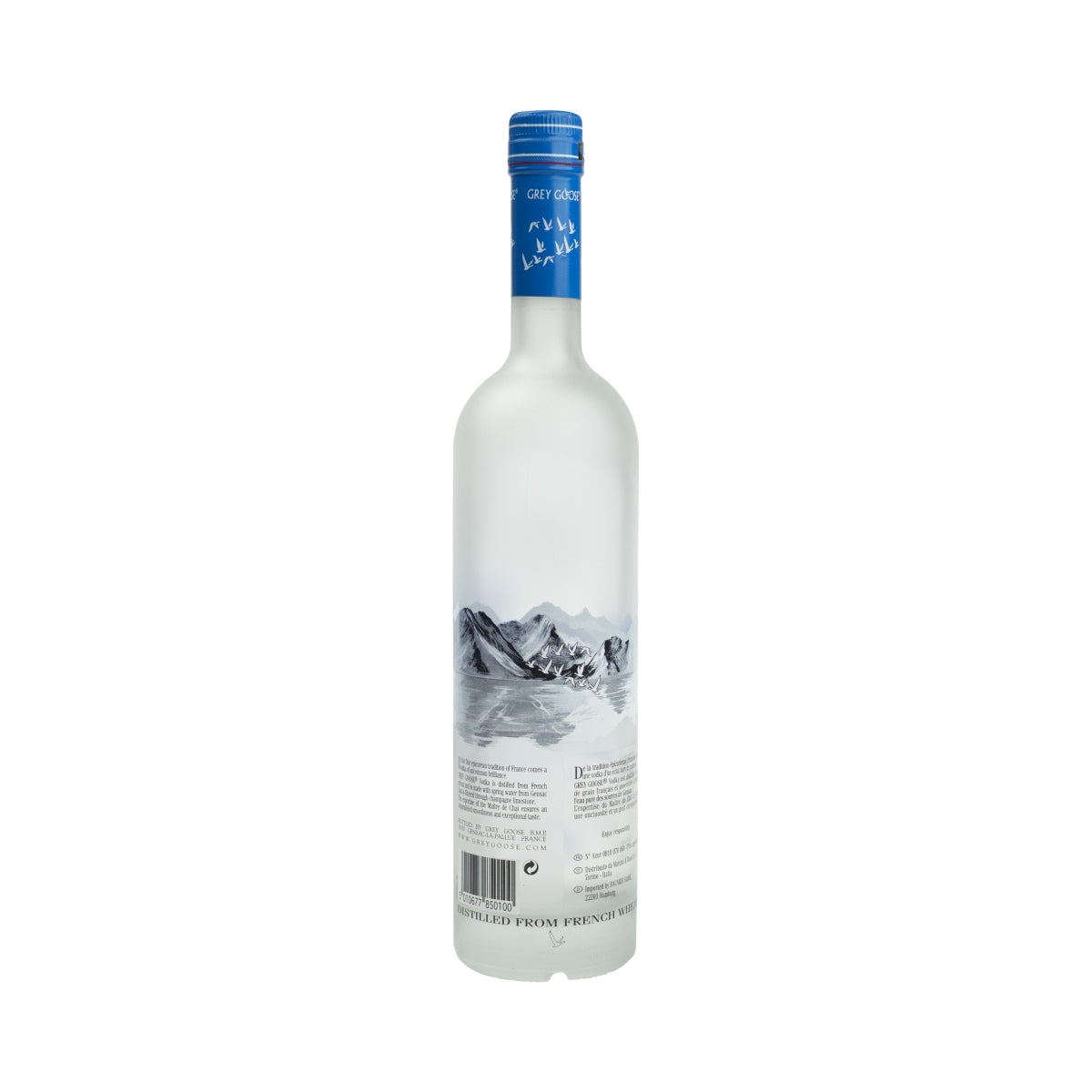 Grey Goose Vodka 0,7 l bouteille factice LEER présentoir décoratif pour bar mannequin vide – Vue 3