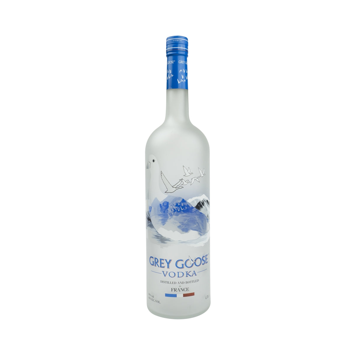 Grey Goose Vodka 4,5 l bouteille décorative avec carton décoratif présentoir vide bouteille factice