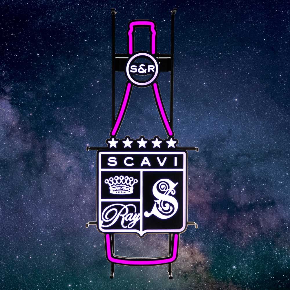 Scavi & Ray Enseigne lumineuse LED Néon Sign Bottle Indoor Dimmable Display