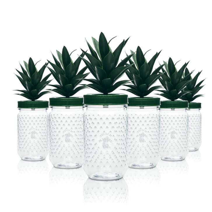 6x Malibu verre à liqueur 0,4l verre plastique ananas avec couvercle gobelet palmier réutilisable