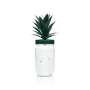 6x Malibu verre à liqueur 0,4l verre plastique ananas avec couvercle gobelet palmier réutilisable