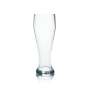 6x Van Well verre 0,5l bière blanche cristal levure verres à blé vierges Gastro Calibré