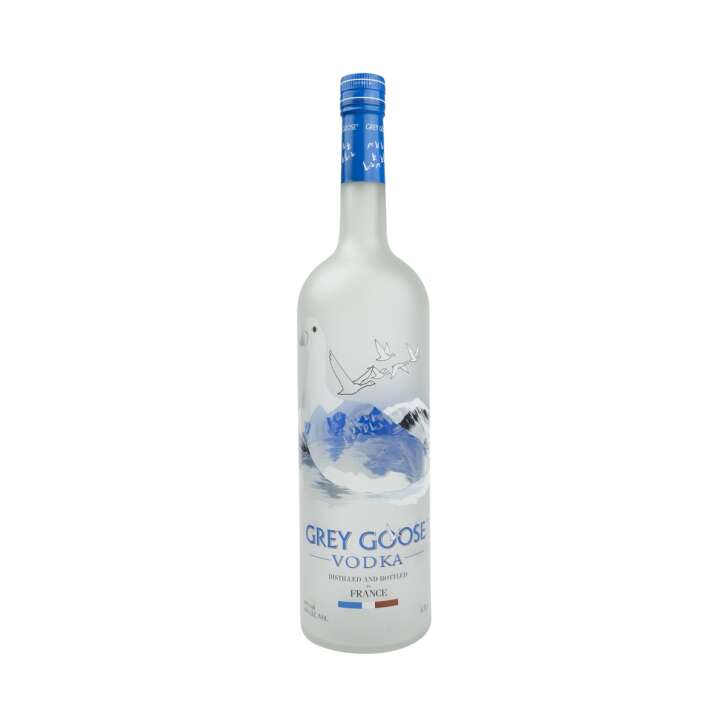 Grey Goose Vodka 4,5l Bouteille de présentation avec carton Décoration vide Dummie Bottle