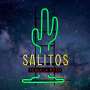 1x Salitos Bière LED panneau néon cactus 46,5 x 73 x9