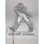 1x enseigne lumineuse Johnnie Walker Whisky Logo noir et blanc 70 x 39 x 1