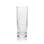 6x Belvedere verre à vodka 0,3l verre à long drink Highball