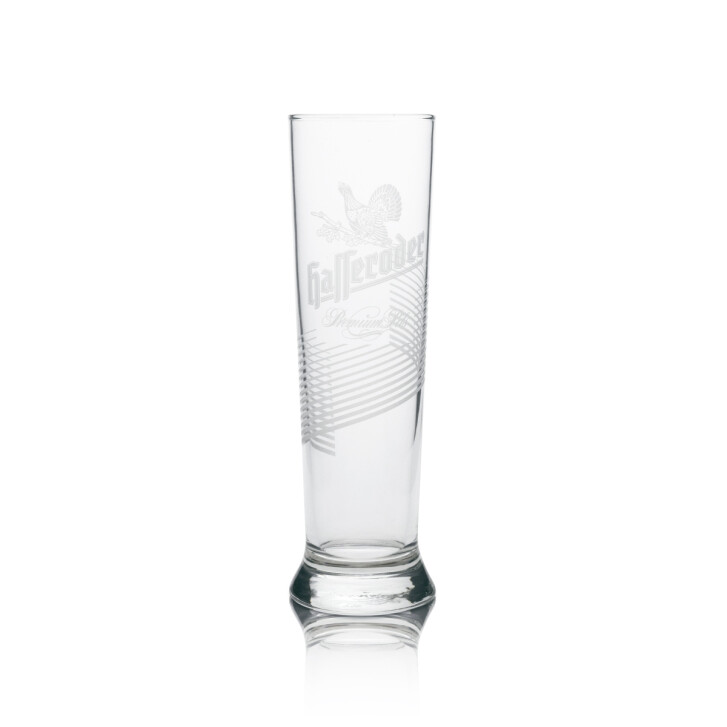 6 verres à bière Hasseröder Premium Pils 300 ml avec relief