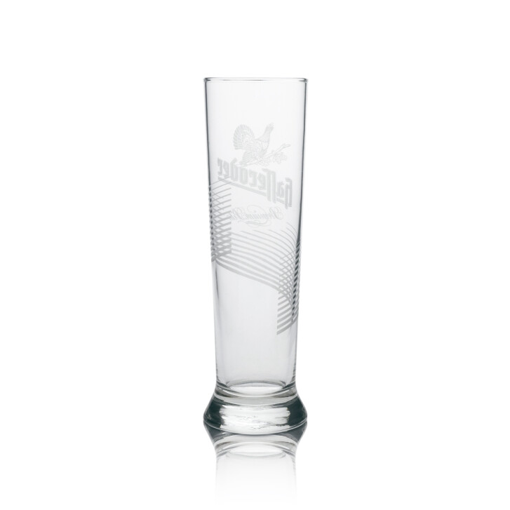 6 verres à bière Hasseröder Premium Pils 300 ml avec relief