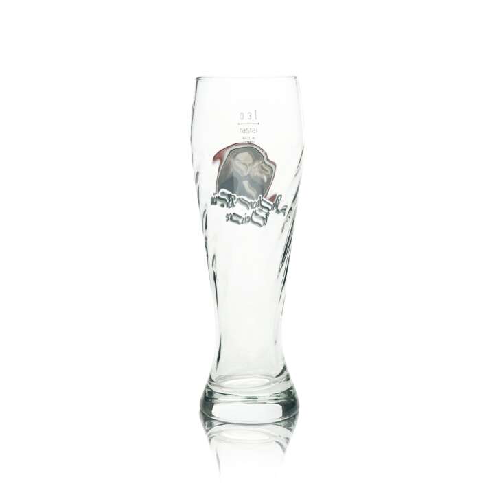 6 verres à bière Hacker Pschorr 0,3 l, bière blanche, relief, levure, verres à bière, brasserie