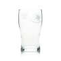 6x Wychwood Verre à bière 0,3l Gobelet 1/2 pinte Craftbeer Verres Angleterre Willi Cup